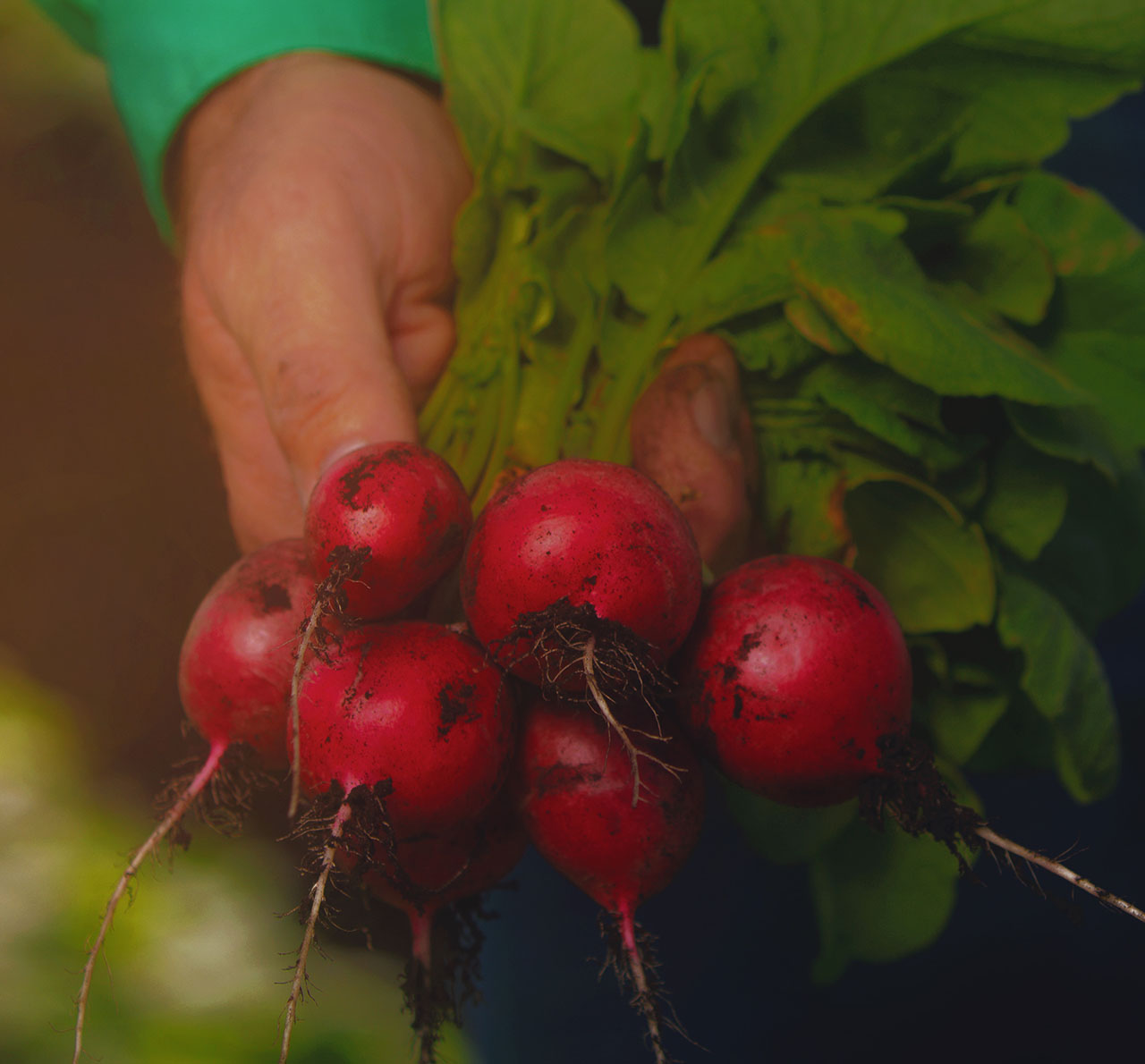 Duda Farm Fresh Foods